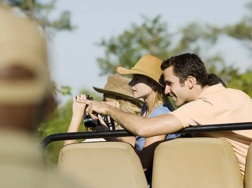 Safari Tours